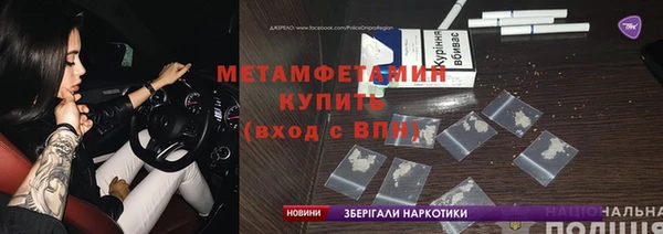 прущие грибы Наволоки