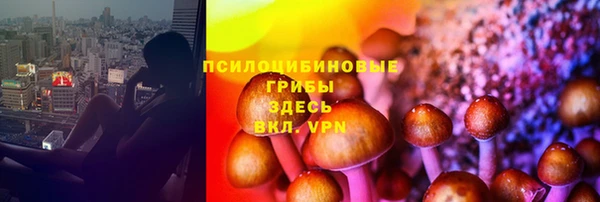 PSILOCYBIN Михайловск