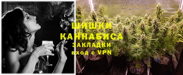 прущие грибы Наволоки