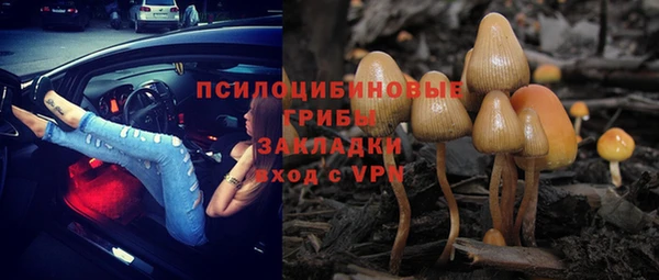 прущие грибы Наволоки