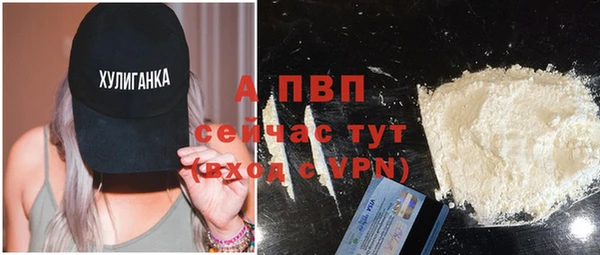 прущие грибы Наволоки