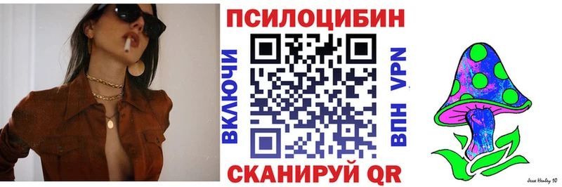наркошоп  Тамбов  omg онион  Псилоцибиновые грибы GOLDEN TEACHER 