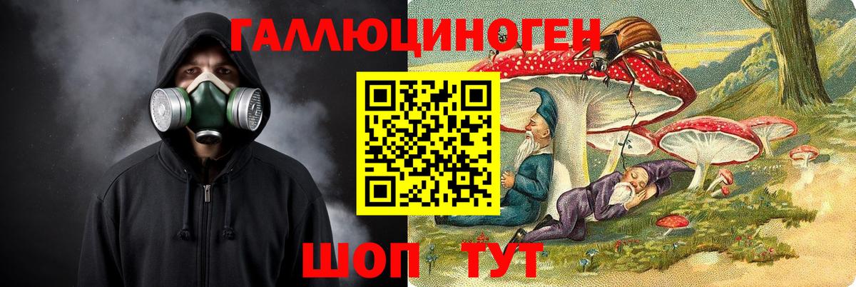 Галлюциногенные грибы Psilocybe Тамбов